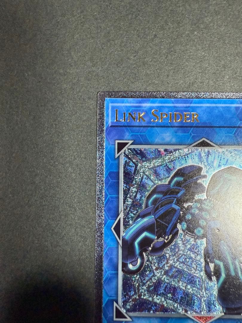 リンクスパイダー レリーフ　EU 英語