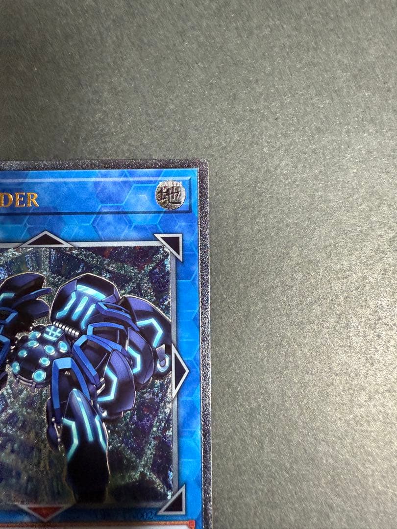 リンクスパイダー レリーフ　EU 英語