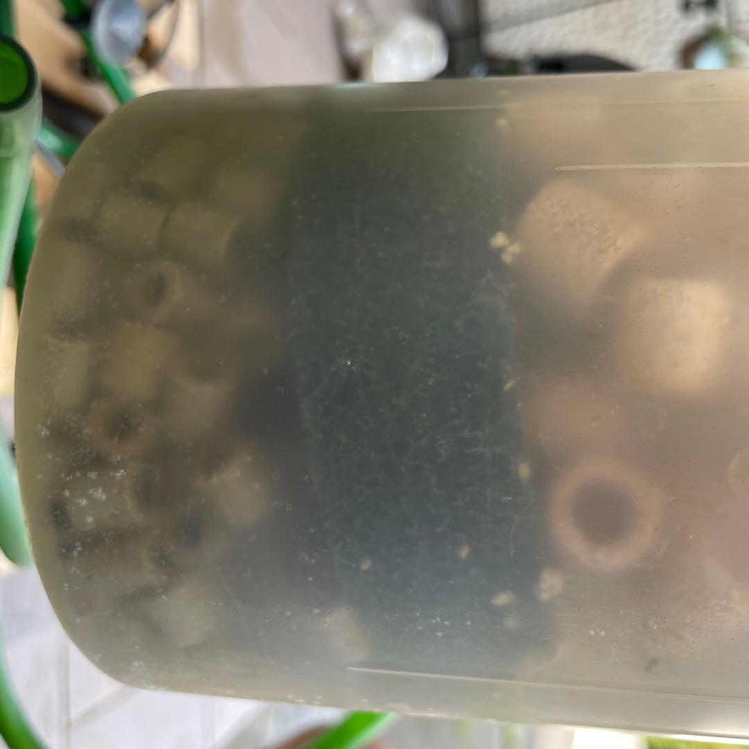 EHEIM ポンプ・フィルター 2213 ⅹ2+ ダブルタプx4 ろ材付き