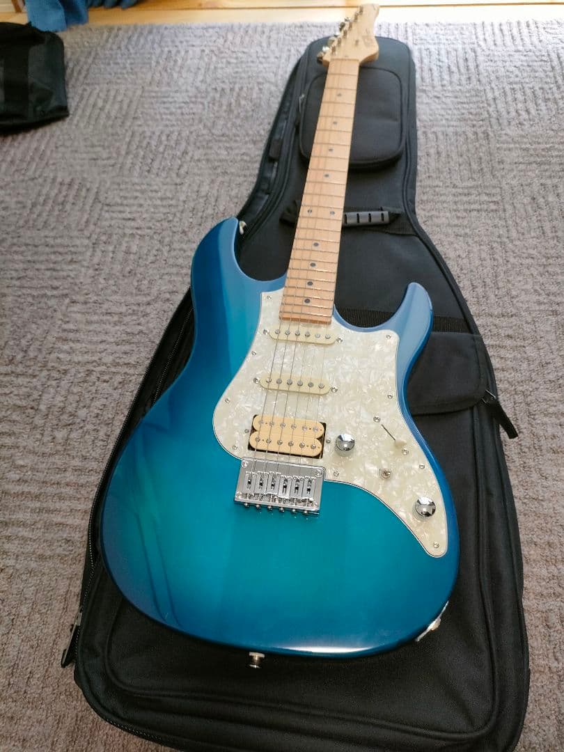 フジゲン　bos-m/tbs/01　フレットは98％残ってます。状態良いです。