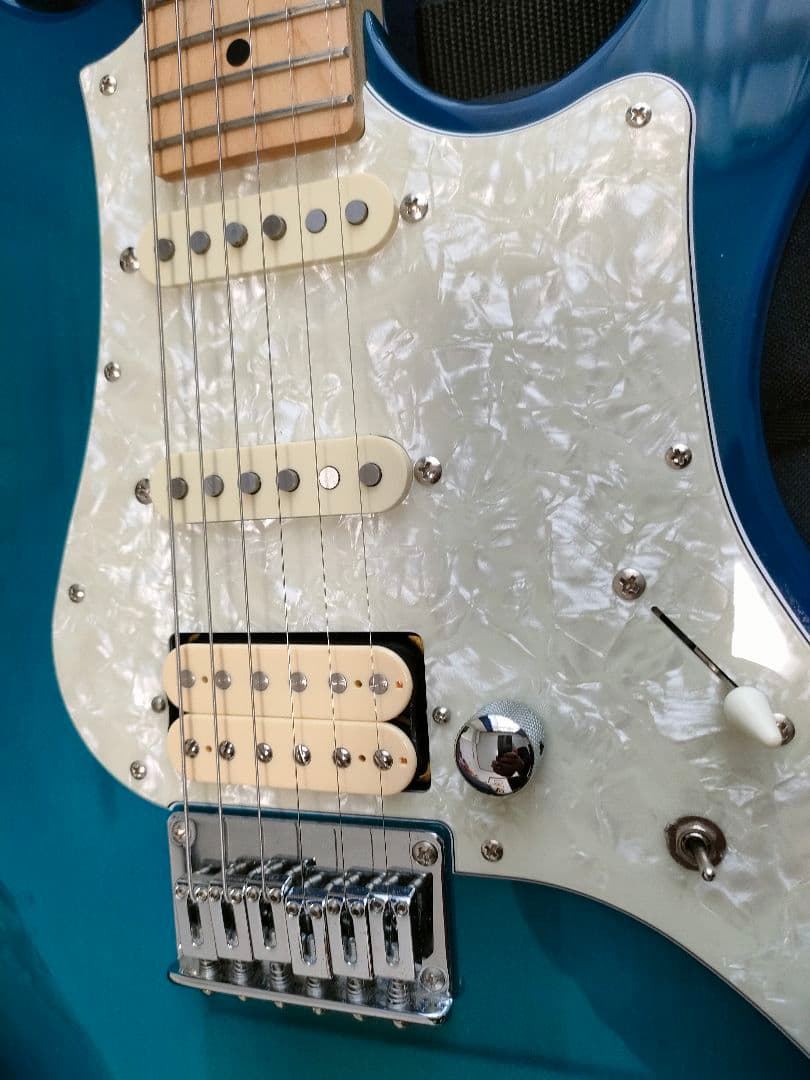 フジゲン　bos-m/tbs/01　フレットは98％残ってます。状態良いです。