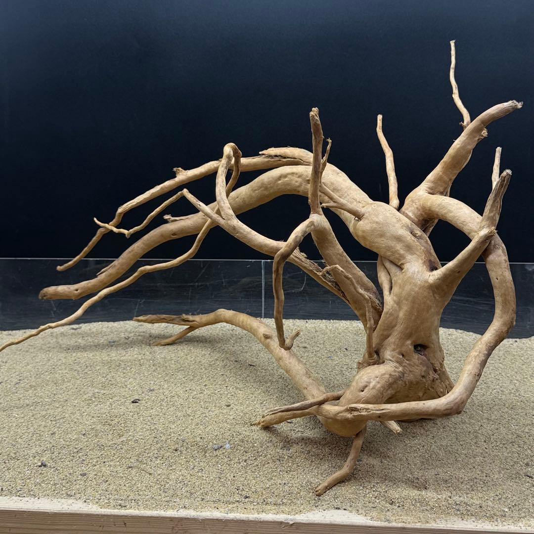 MDW-6989 特大ブランチウッド　流木　枝流木　アクアリウム