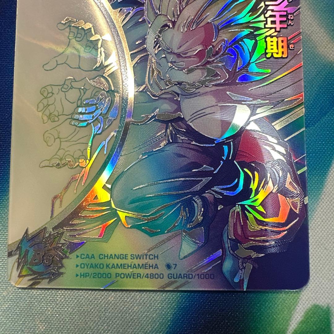 スーパードラゴンボールヒーローズ 孫悟飯 少年期