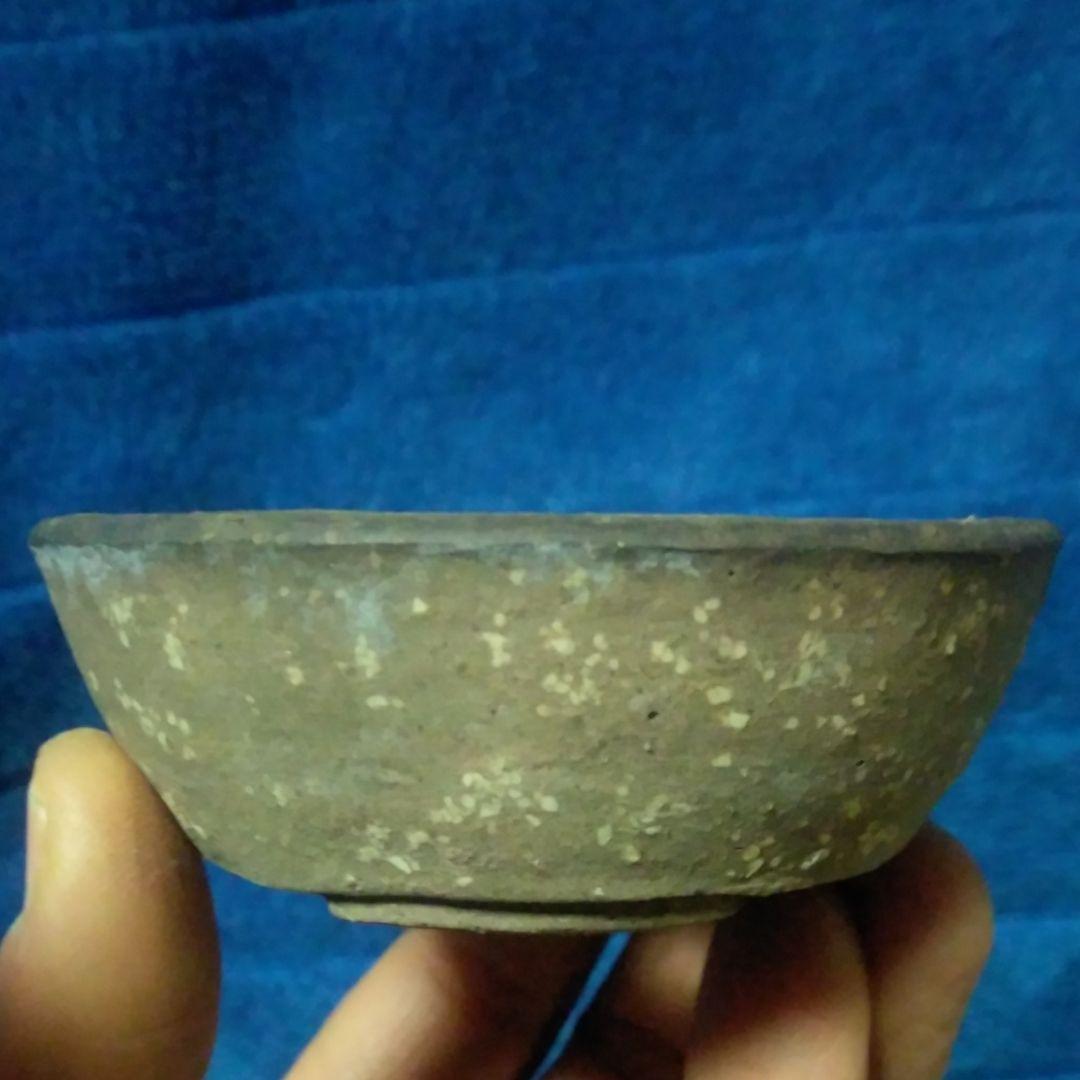 ミニ鉢、盆栽鉢、盆栽小鉢、植木鉢、山野草鉢、鉢、盆栽、東福寺