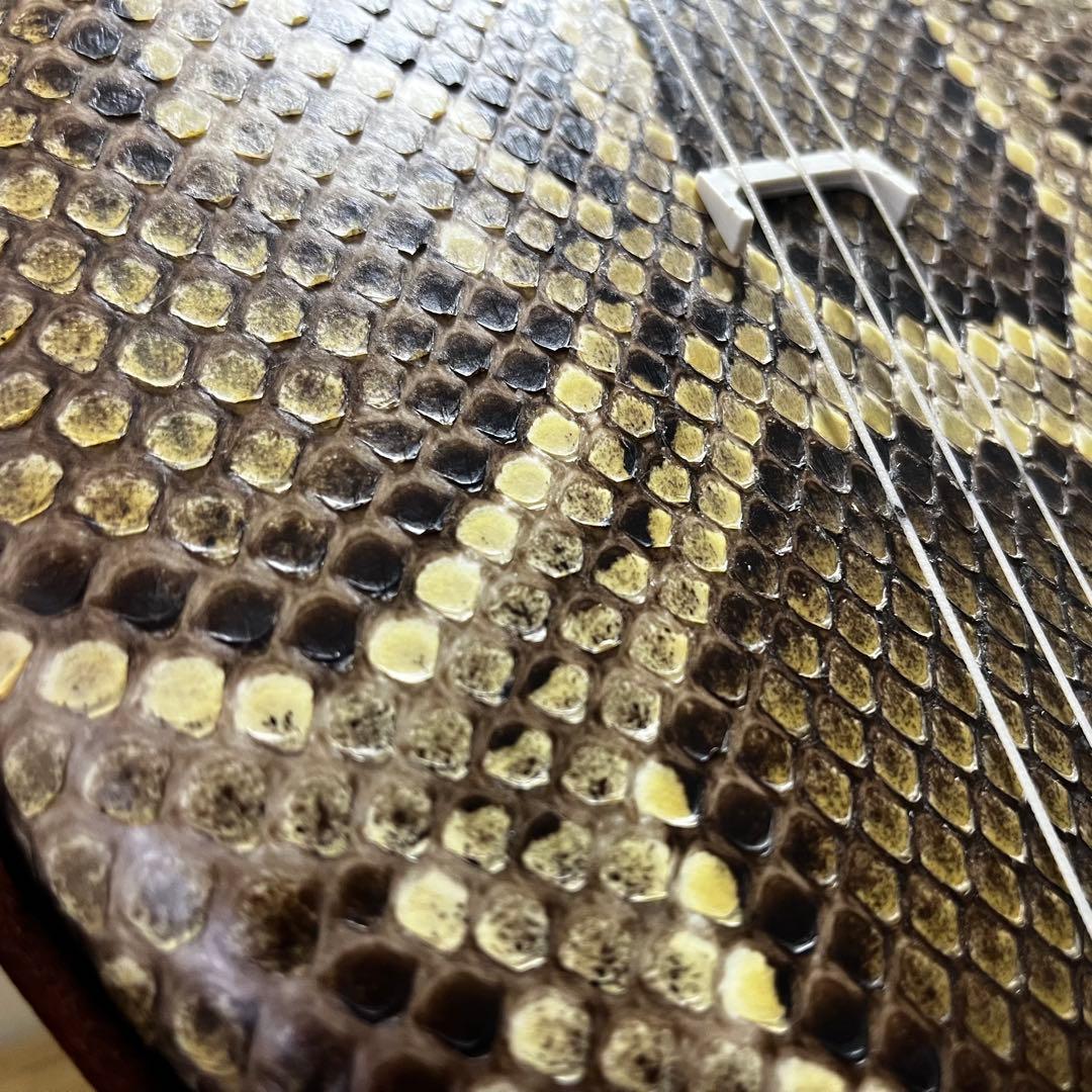 【美品】沖縄三線 蛇皮 民謡楽器 民謡 和楽器 三線 ケース付