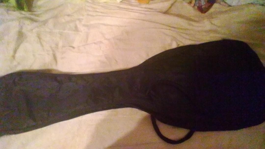 ハワイアン柄インレイ　ハチドリ　ハイビスカス　ギター期間限定新春特価