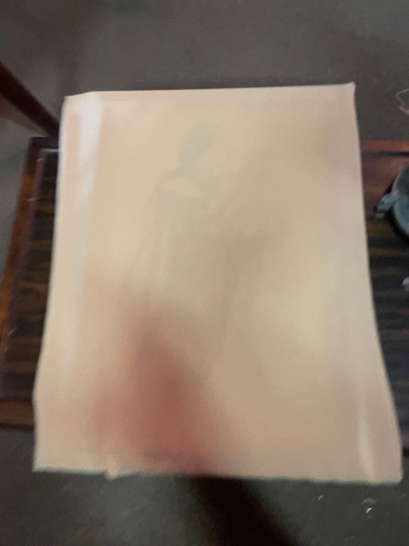 真作　蔵出し　斎藤三郎作「セビリヤの娘」(二科会員) 水彩　作者直筆サイン