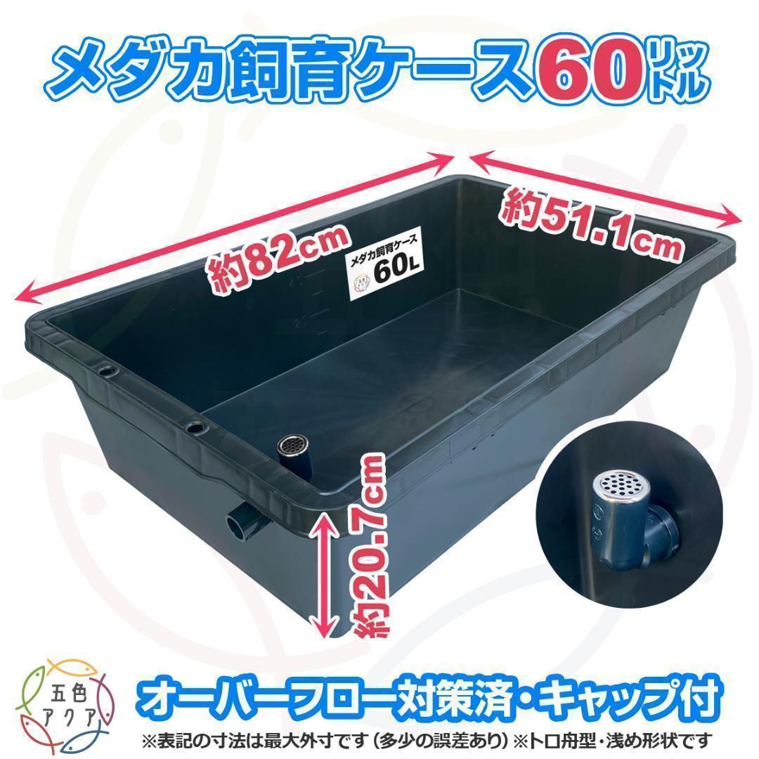 メダカ飼育ケース 60㍑x3個 トロ舟 オーバーフロー付 金魚飼育容器 越冬