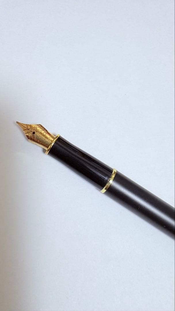 PARKER SONNET 万年筆 細字F ソネット マットブラックGT