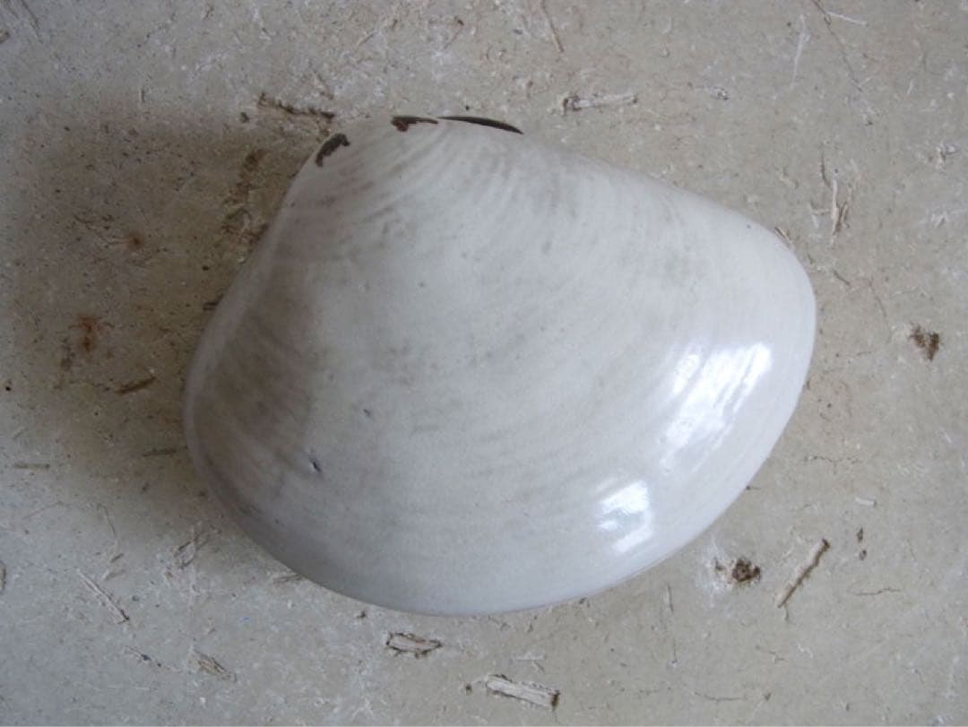 【相馬焼】皿　向付　器　蛤型　松葉図　結婚祝い　金婚式　銀婚式　還暦祝い　古希祝