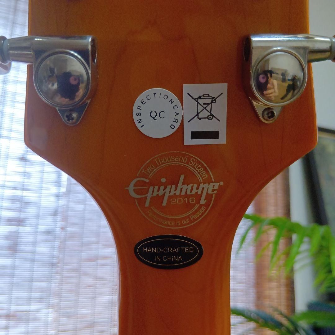 エピフォン ワイルドキャット WILDKAT STUDIO