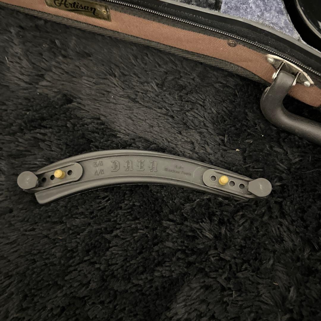 Carlo Giordano EV-202 エレキバイオリン 弦楽器 ケース付属