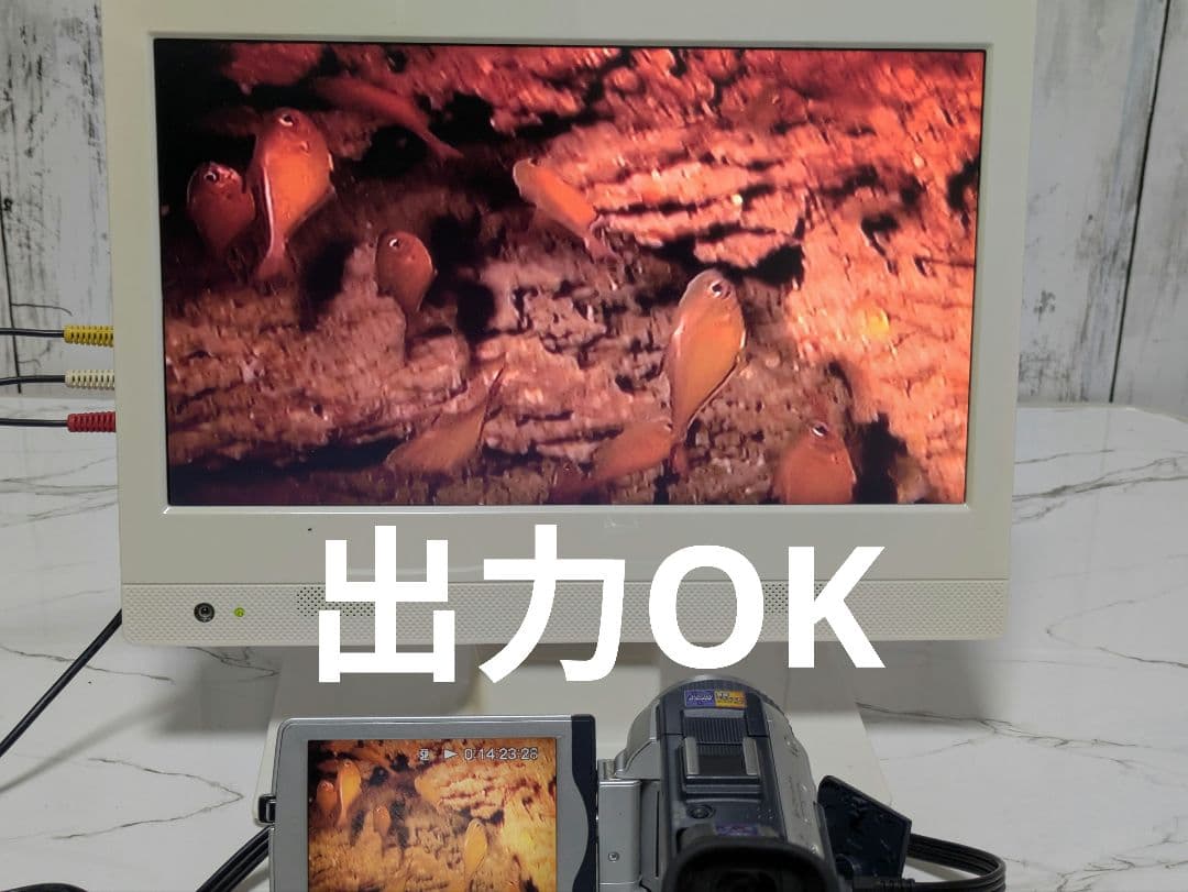 SONY　DCR-TRV30　MiniDV対応