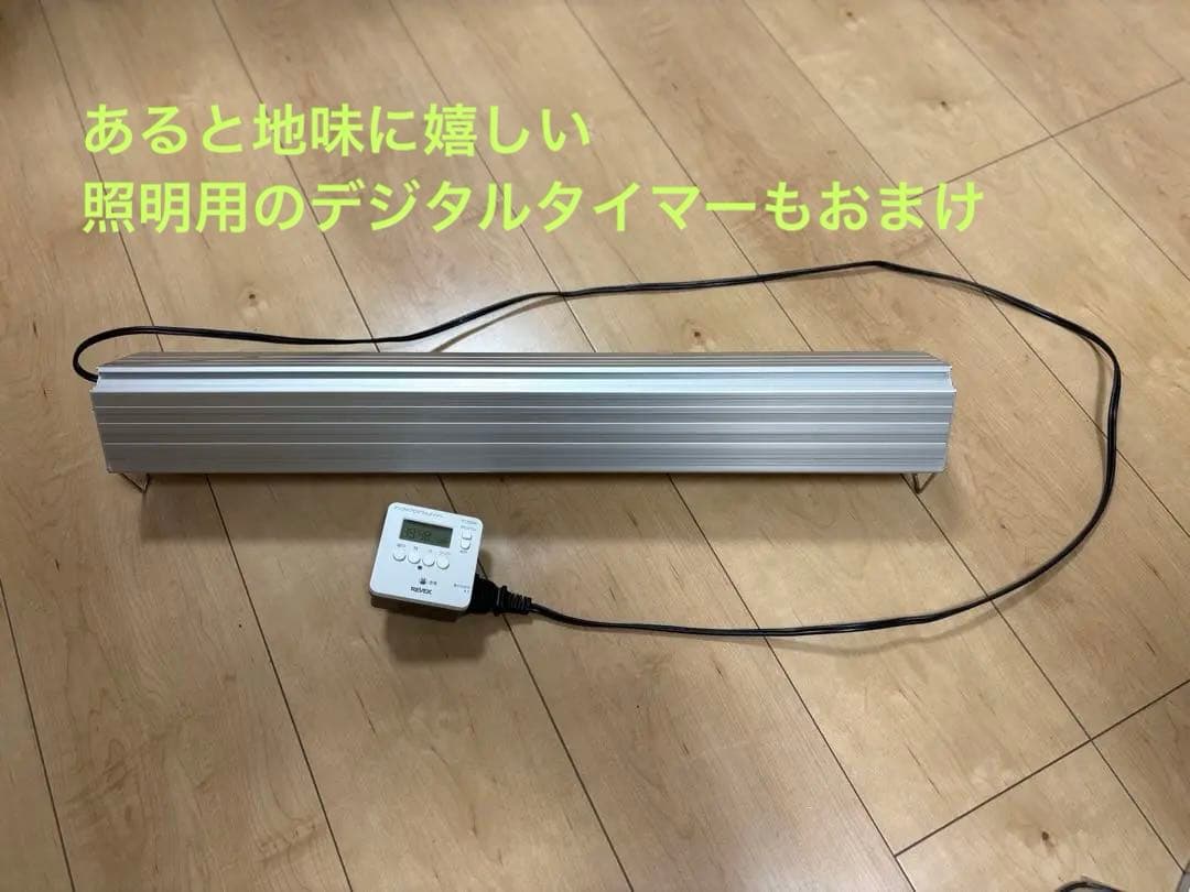 アクリル水槽60㎝【おまけ充実で初心者でも始めやすい】