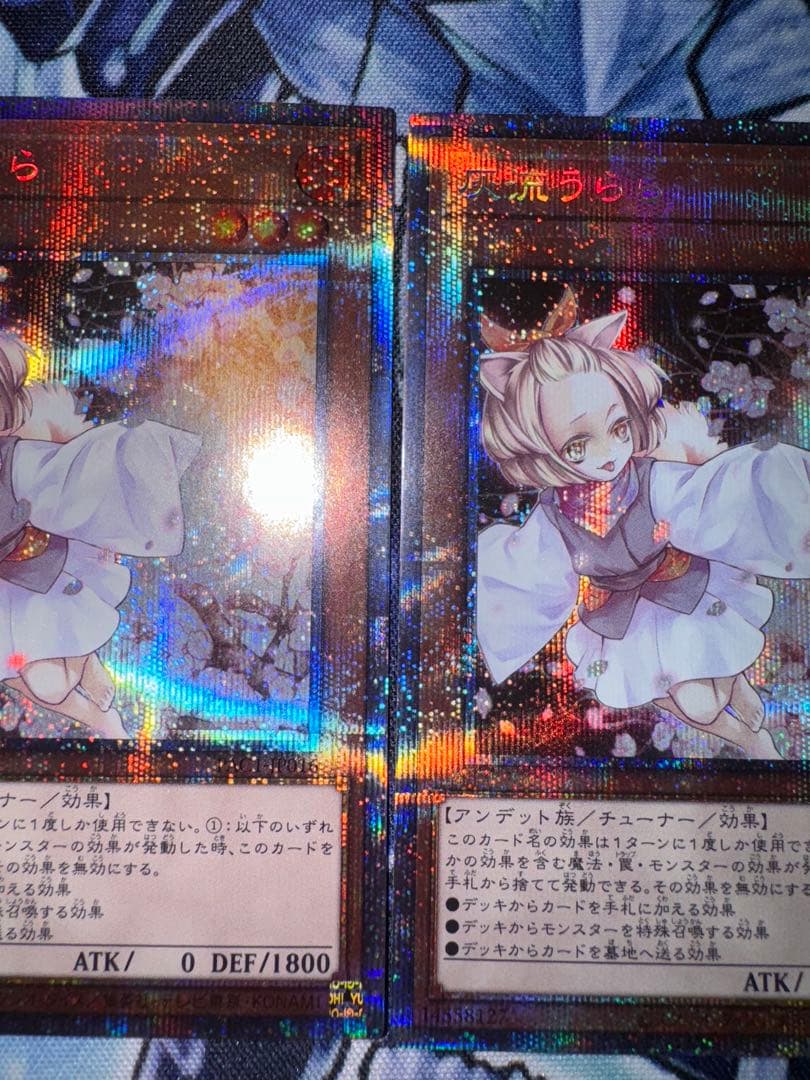 遊戯王　灰流うらら　プリズマ　3枚セット