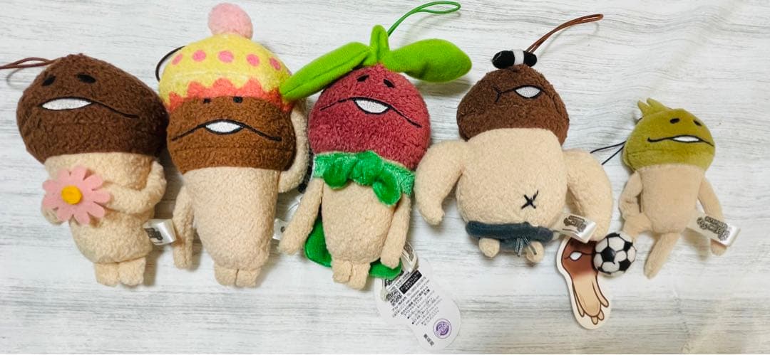 なめこ　おさわり探偵　なめこ栽培キット　81点セット　まとめ売り