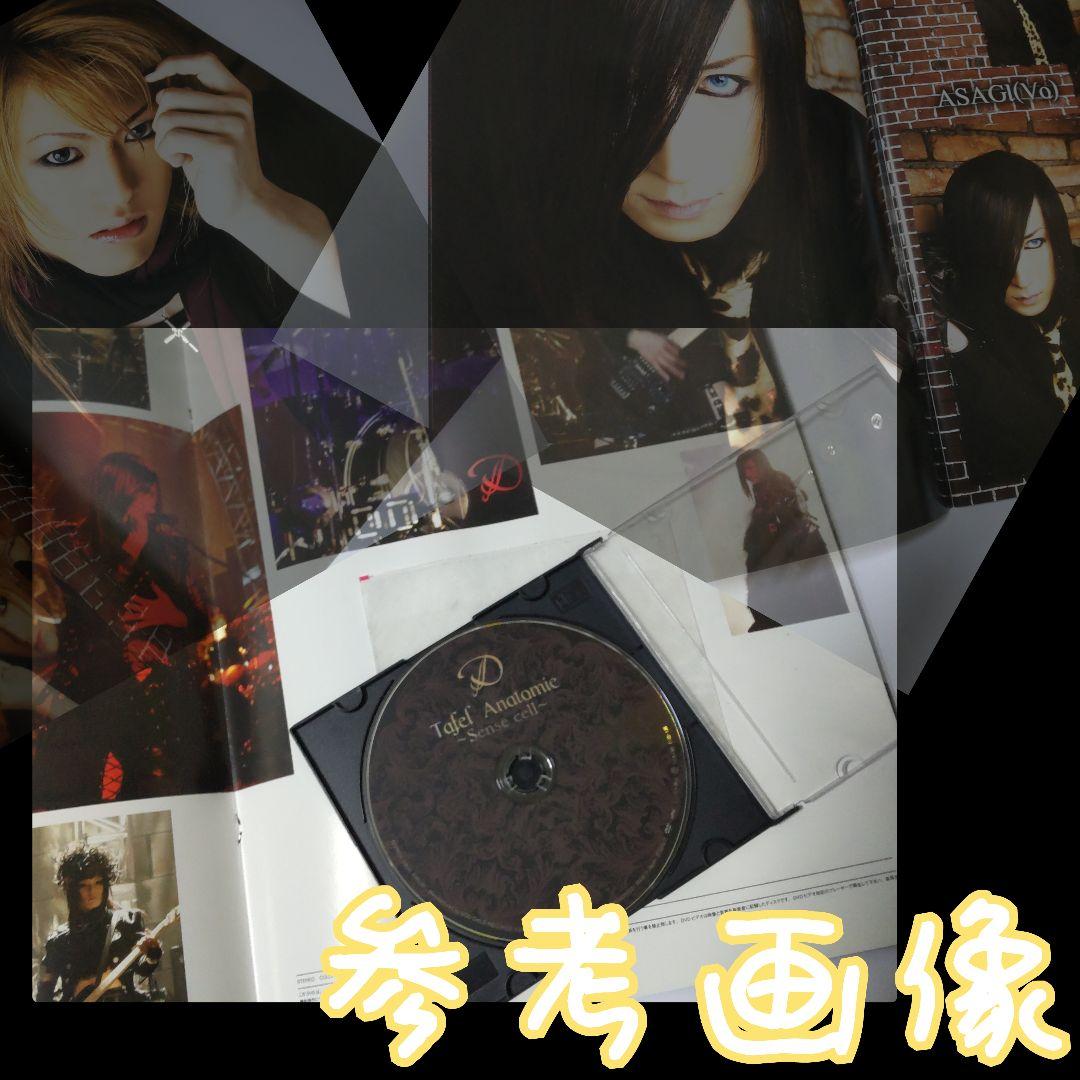 フールズメイト独占販売！Dディー【完全限定スペシャル】『Tafel Anatom