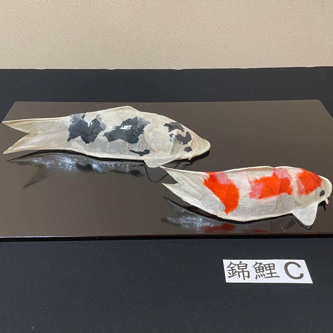 張子　錦鯉 C ツヤあり