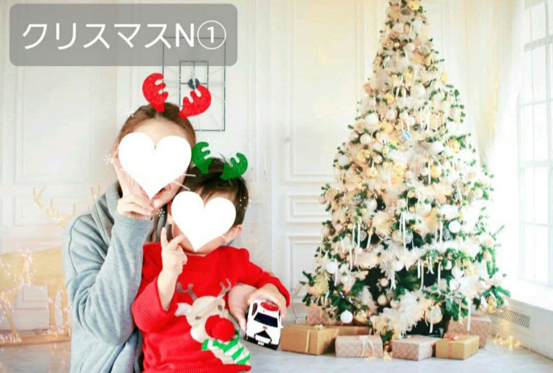 背景布　【　紫陽花A　】　サンプル　ニューボーンフォトなどに♪