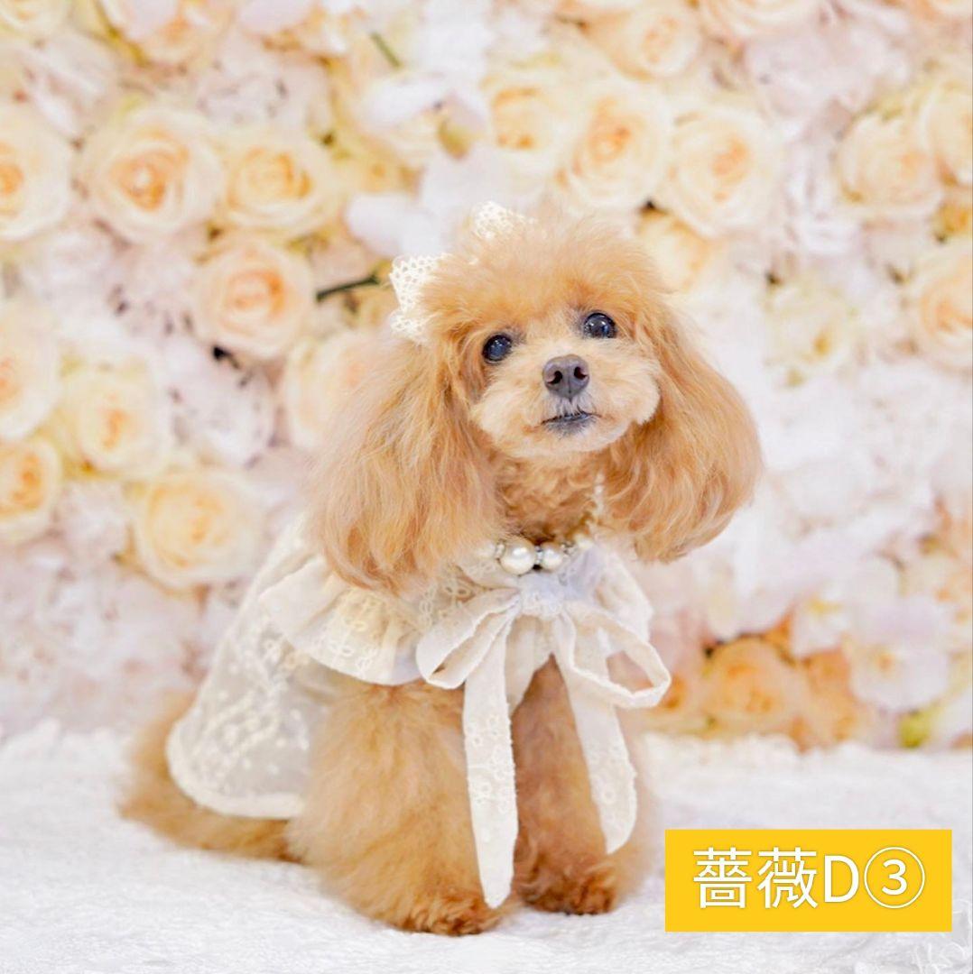 背景布　【　紫陽花A　】　サンプル　ニューボーンフォトなどに♪