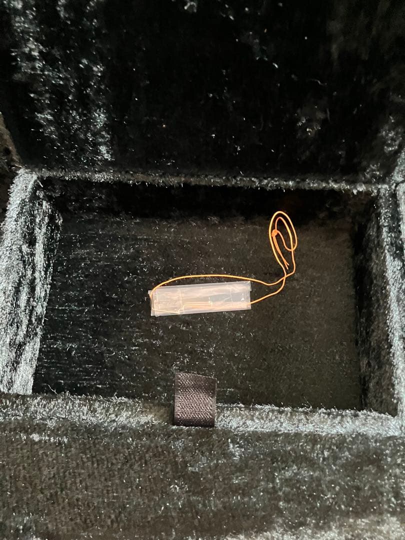 たけい hide モッキンバード ハードケース