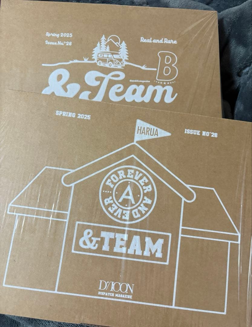 &TEAM D'ICON HARUA ハルア　トレカ　雑誌　写真集　チェキ