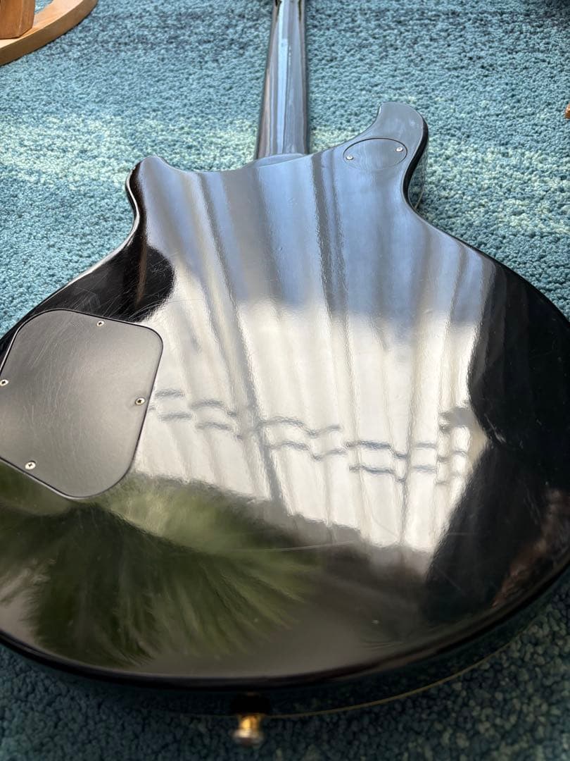 Epiphone Tak Matsumoto DC バーストバッカー#2,#3