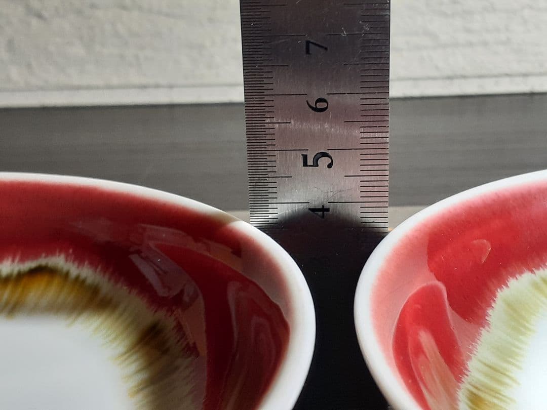 有田焼 馬場 九洲夫作 染錦　辰砂柚　真右エ門窯　銘々うつわ 真右ェ門窯