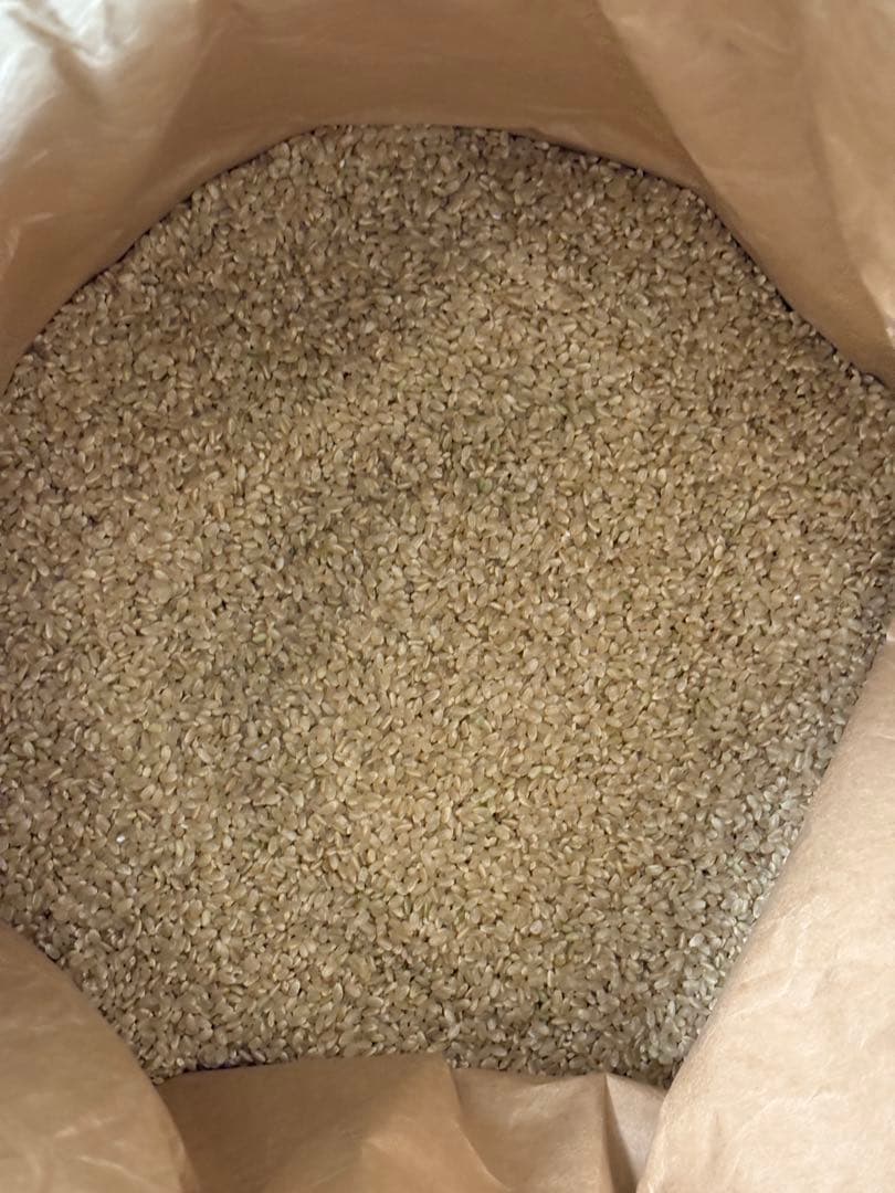 くず米　袋込み20kg (正確には19.1キロ)