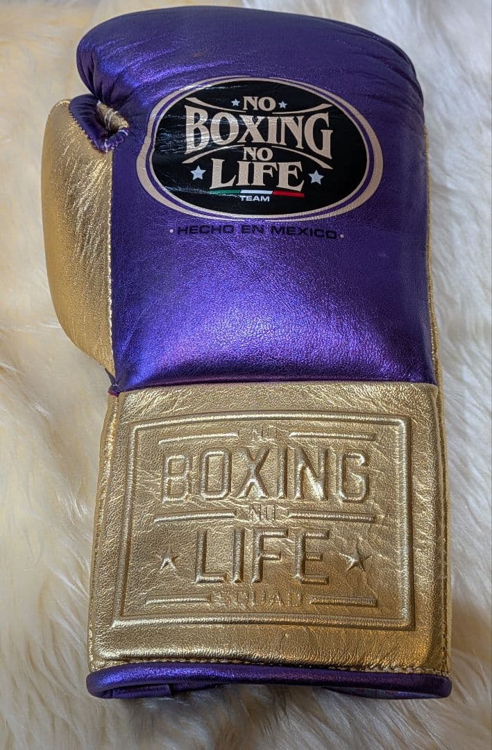 ノーボクシングノーライフ 世界戦公式グローブ ８oz