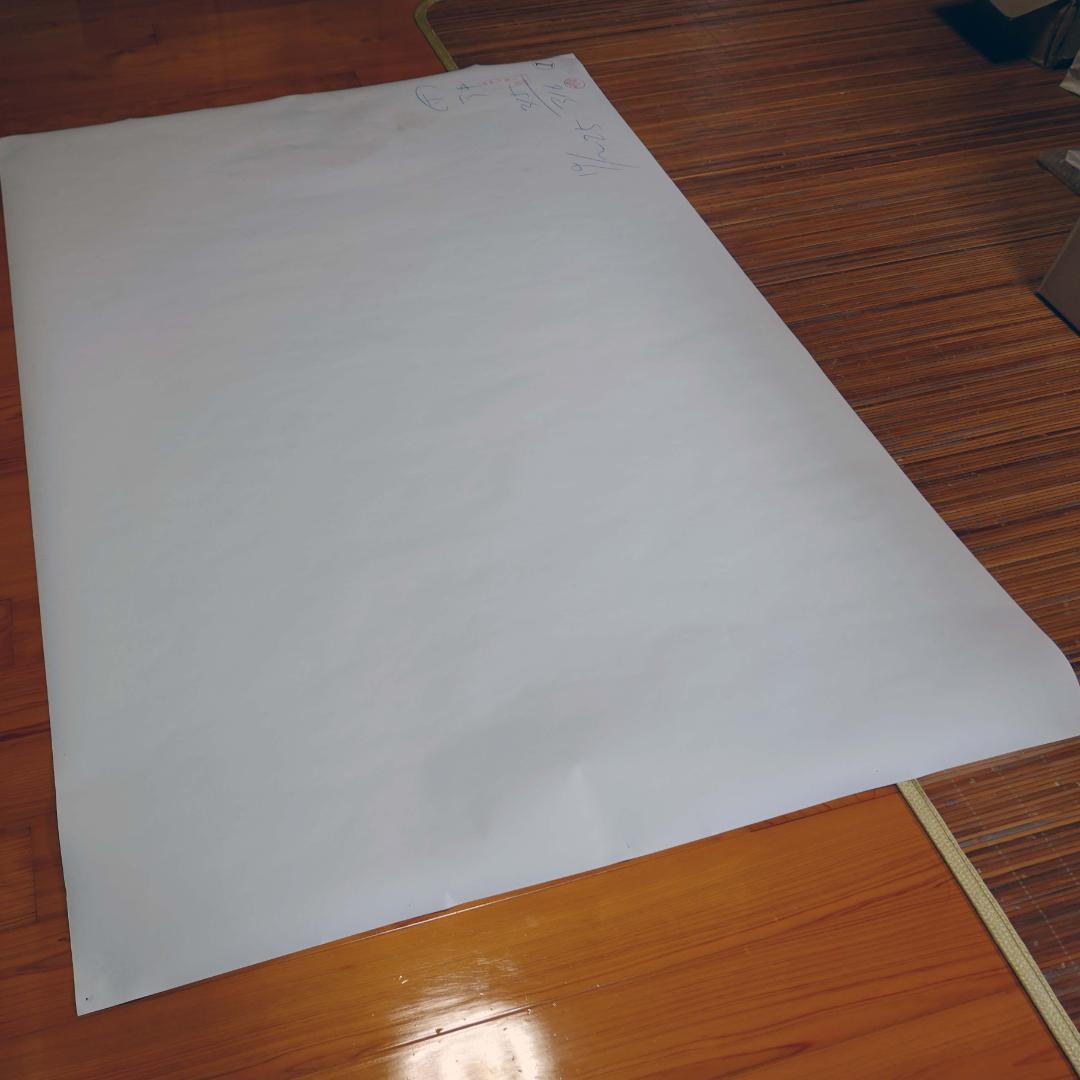 【実使用・超大型ポスター】米倉涼子　富士フィルム・ネクシアQ1　B0　ピン穴あり