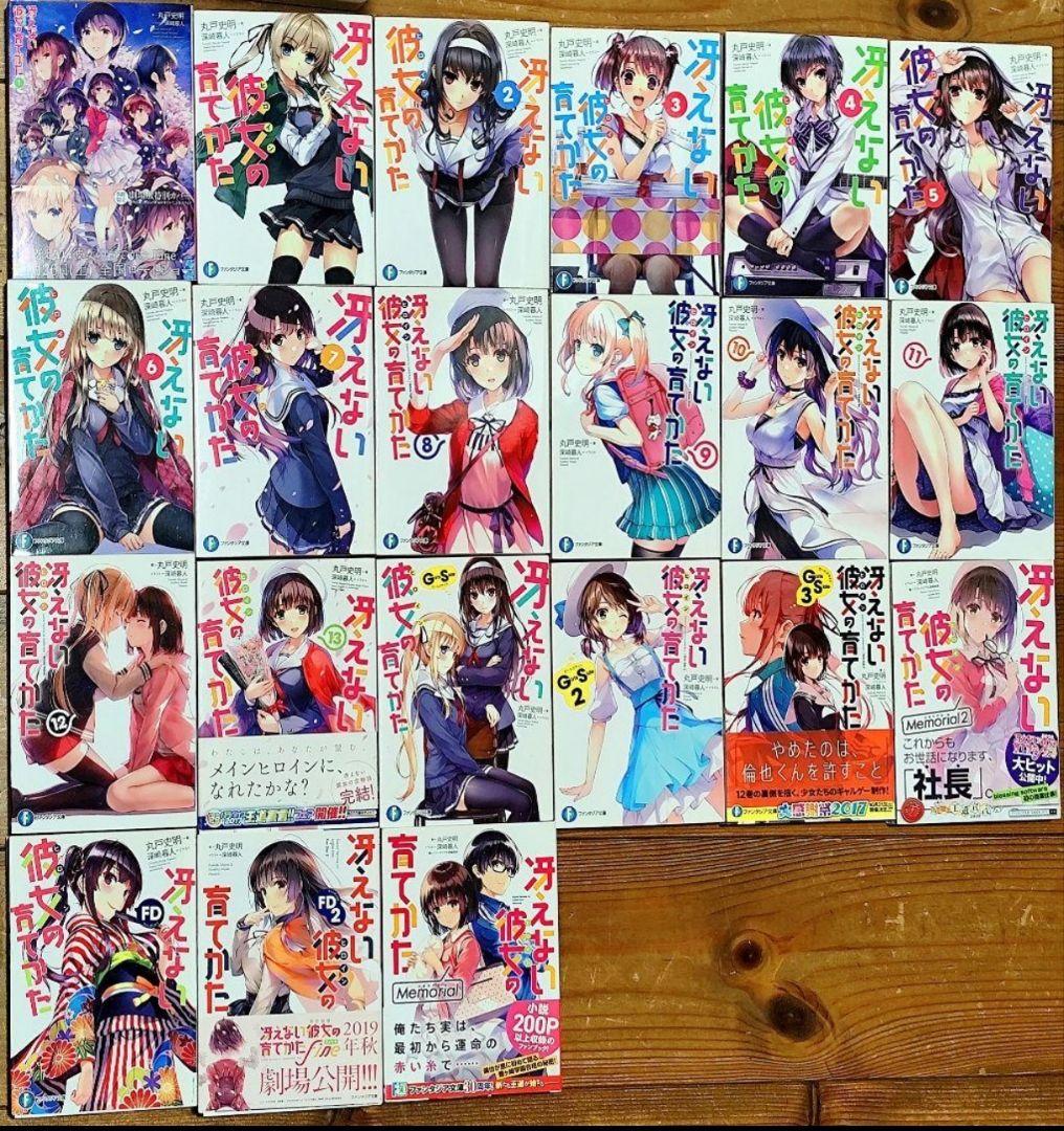 【破格まとめ売り】冴えない彼女の育てかた全巻BOXセット＋特典B2ポスター＋画集