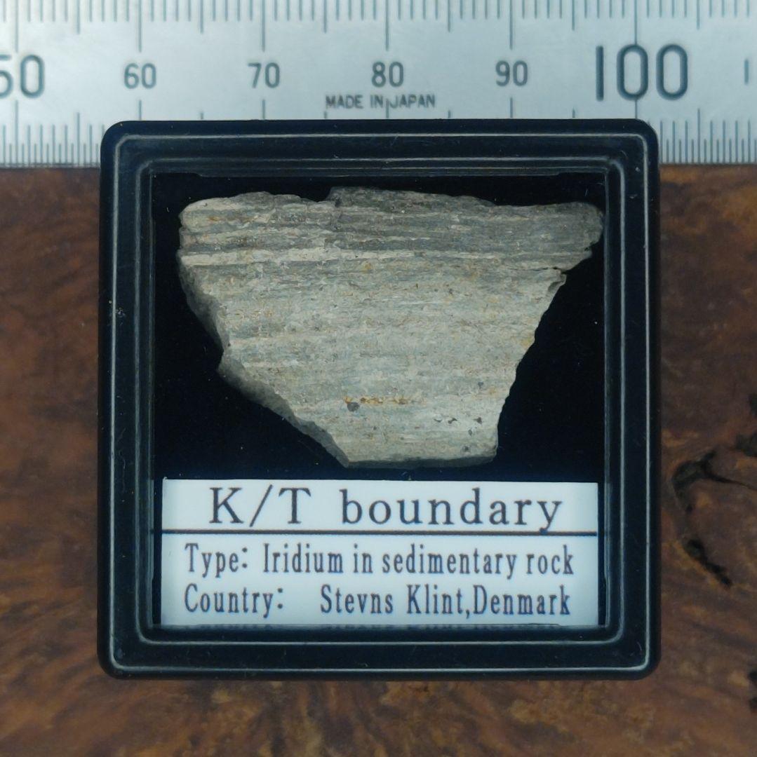 １万円値引き✨入手不可！小惑星のかけら Ｋ-Ｔ境界層（K/Pg境界頁岩）標本大