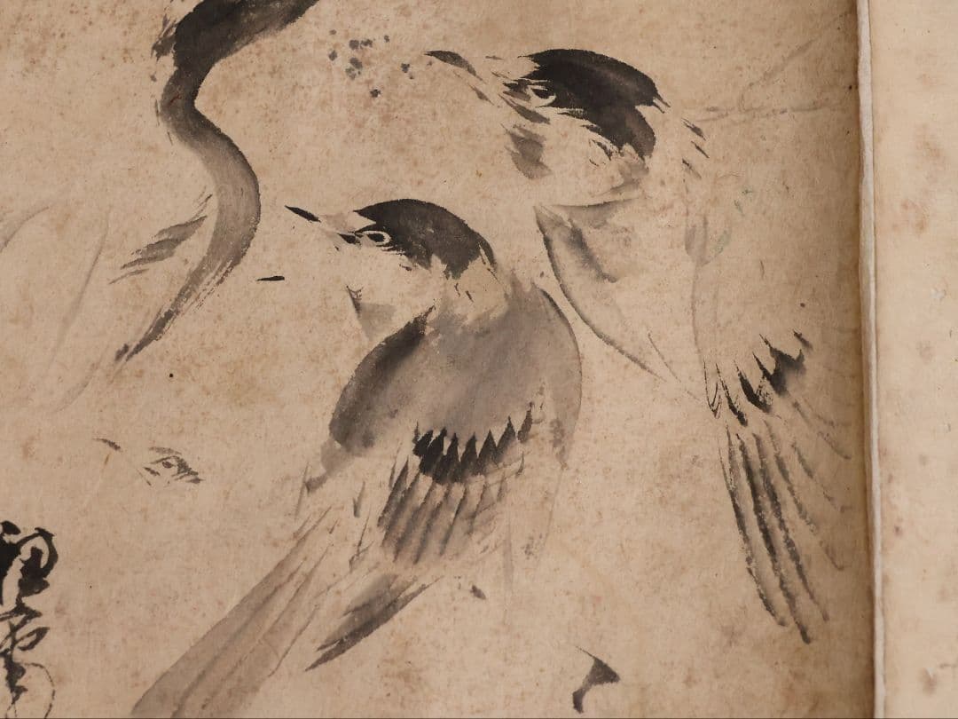 【模写】日本画 穂庵先生 人物花鳥 紙本 巻物 捲り デッサン 美人 MA852