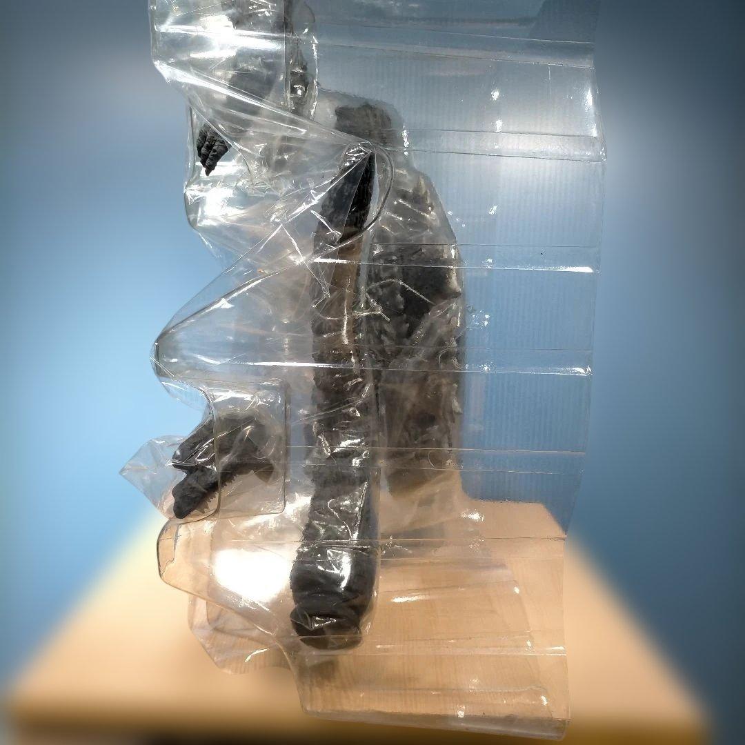 エクスプラス　東宝大怪獣シリーズ 1971ゴジラ（リック限定版）美品・希少品