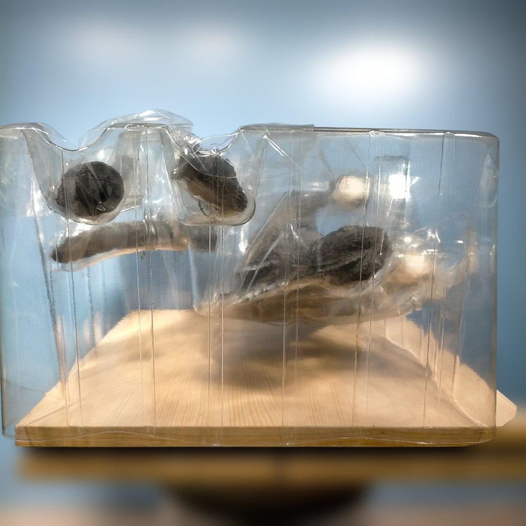 エクスプラス　東宝大怪獣シリーズ 1971ゴジラ（リック限定版）美品・希少品