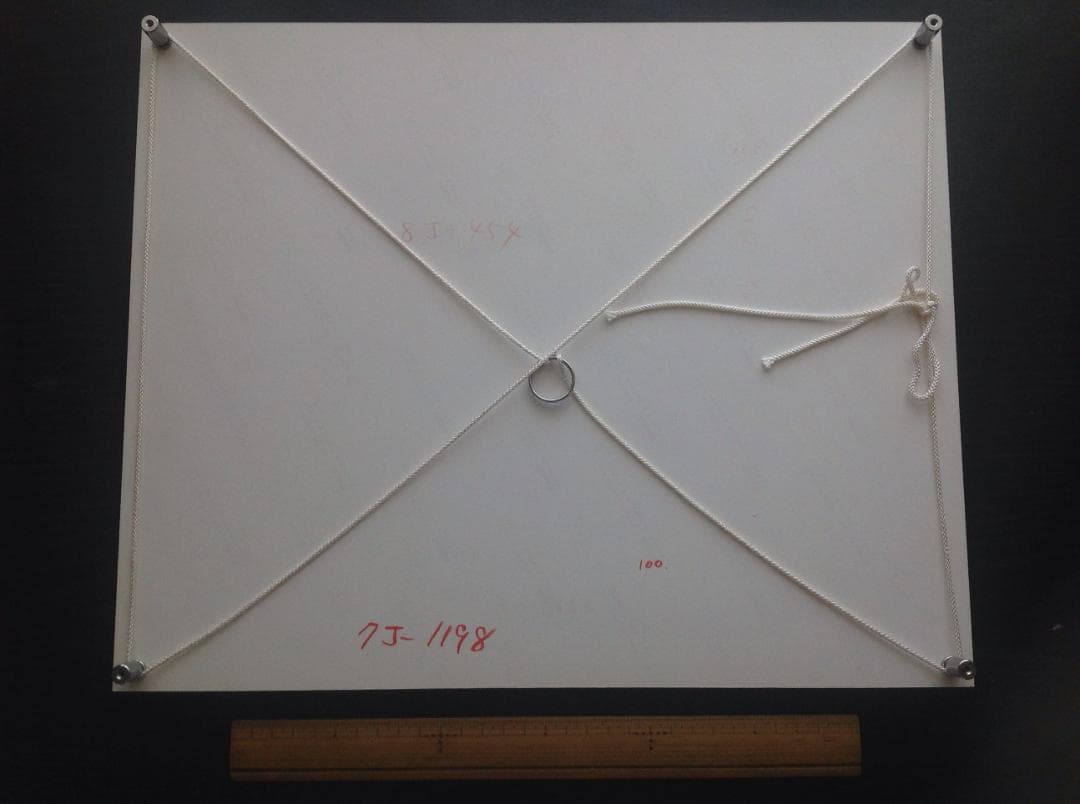 競馬パネル：ヒシアマゾン「1995年第41回産経賞オールカマー」