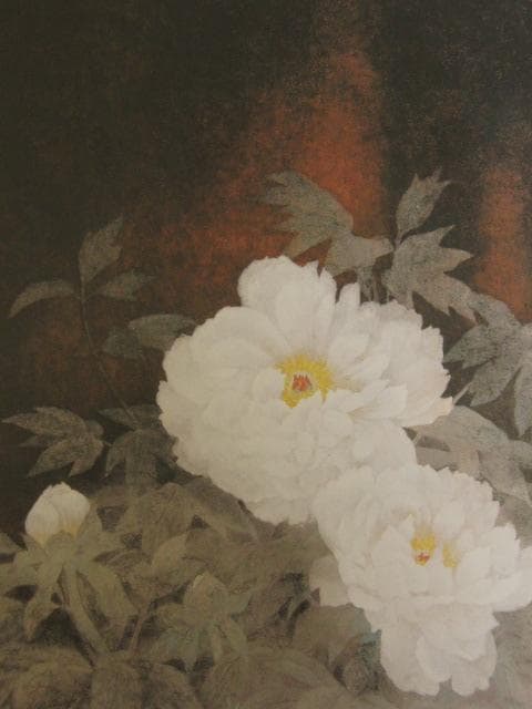 大矢十四彦、【富貴花】、希少な額装用画集より、新品額装付、状態良好