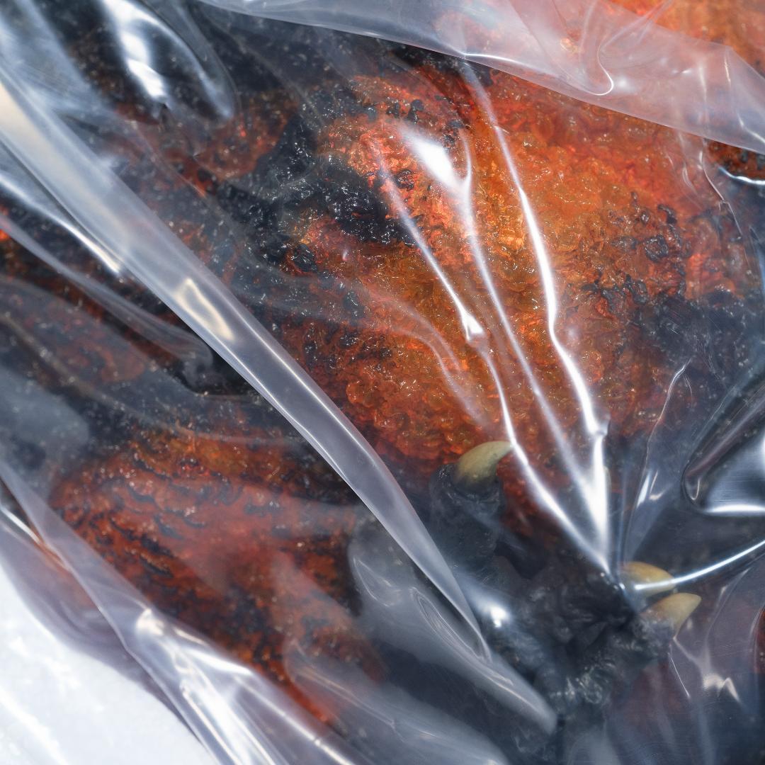 【内容物未開封】ギガンティックシリーズ ゴジラ(1995) ファイナルバトル