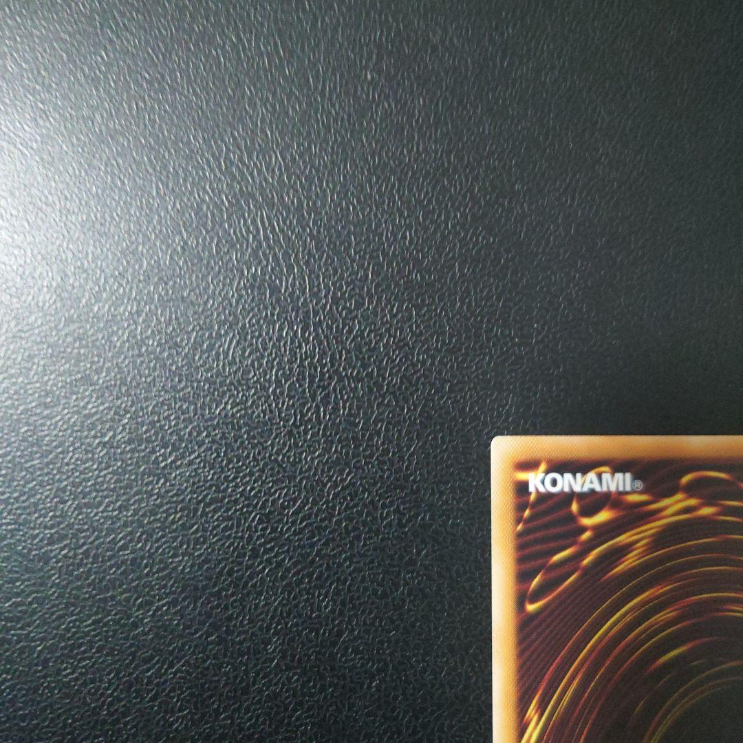 遊戯王「ブラック・ローズ・ドラゴン」レリーフ　②