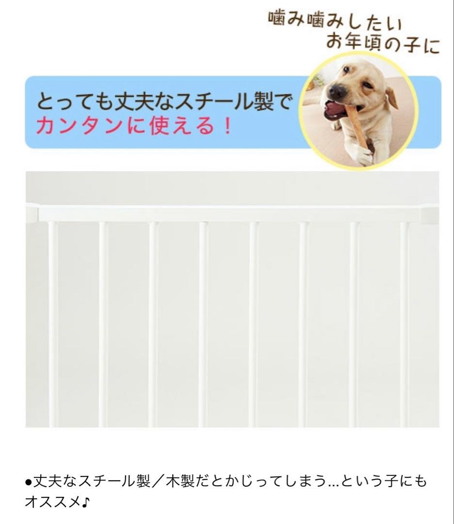 ペピイ　アレンジサークル・スチール　8枚　犬用