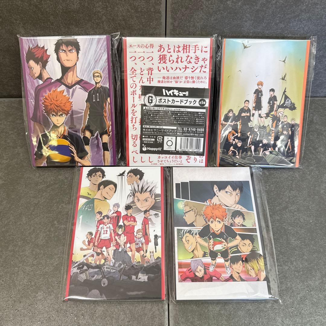 日向翔陽 アクションフィギュア(シークレット特典あり)