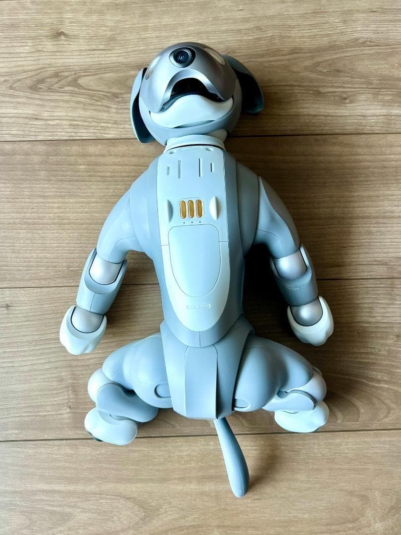 「Hiro 」Sony aibo ERS-1000 「黒ゴマエディション」