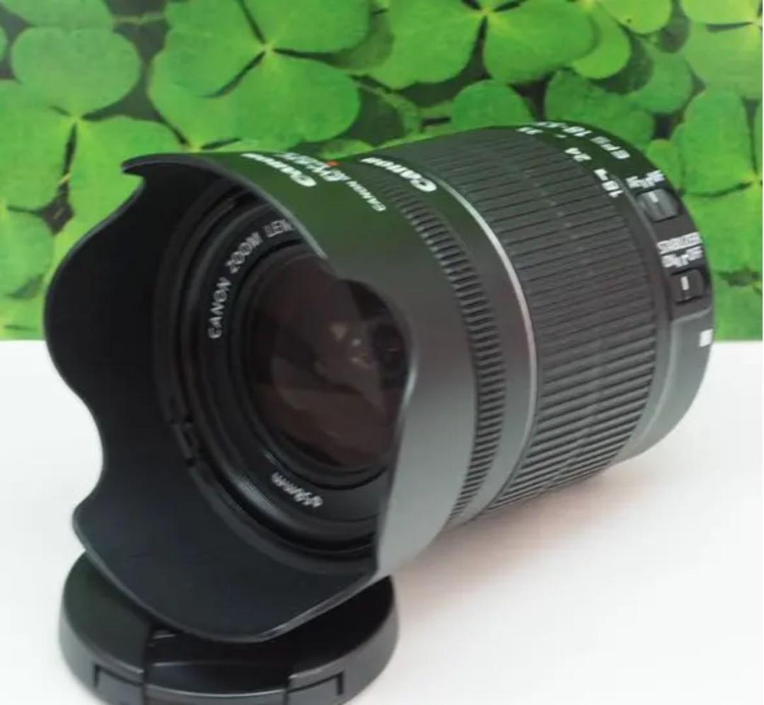 【美品】キヤノンEF-S18-55mm STM 標準ズームレンズ⭐️フード付⭐️