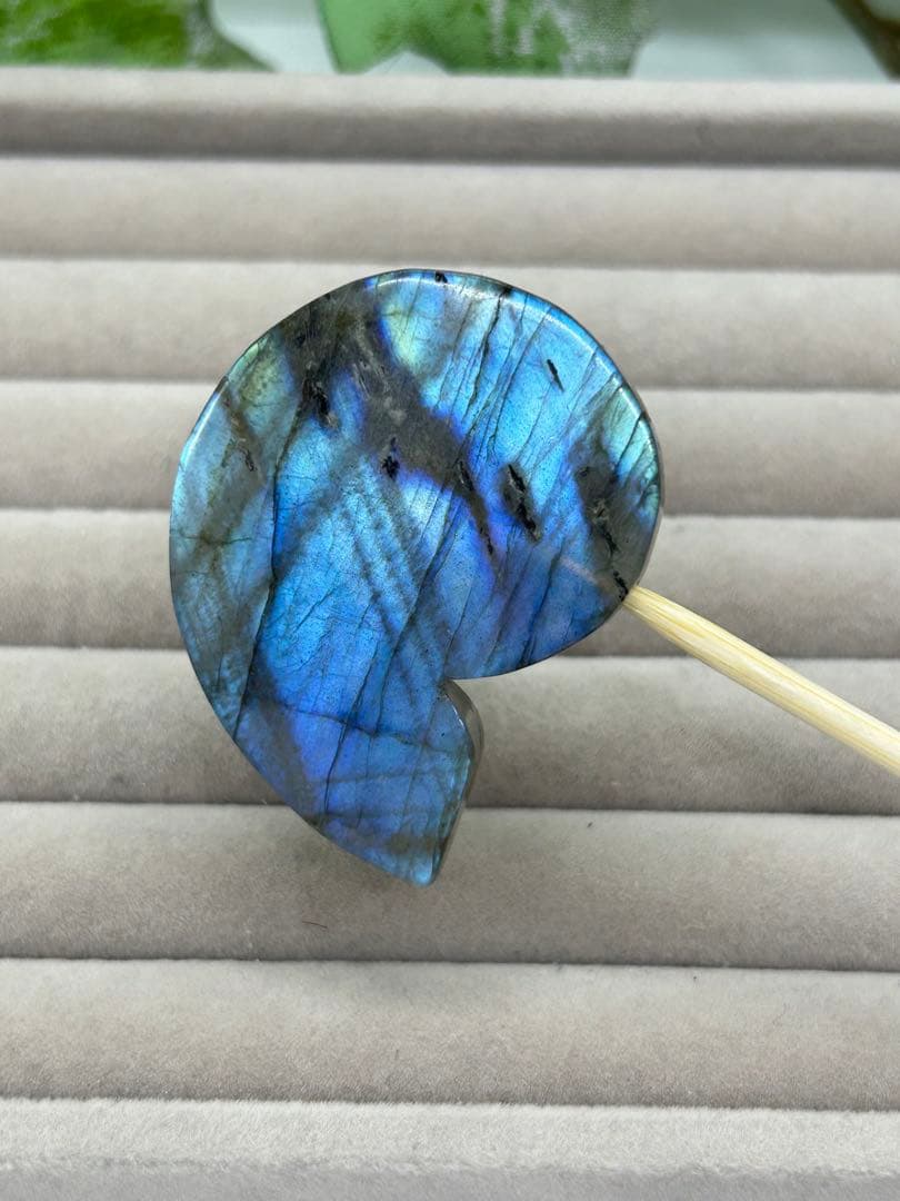 天然石ラブラドライト　アンモナイトのかたちパーツ　No.1258