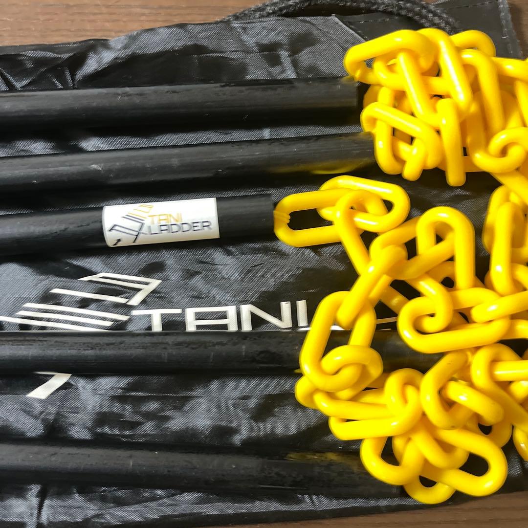 タニラダー　DVD２枚（アドバンスド　インストラクション) ラダー付き