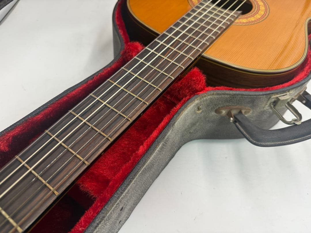 初心者 アコースティックギター ハードケース付き