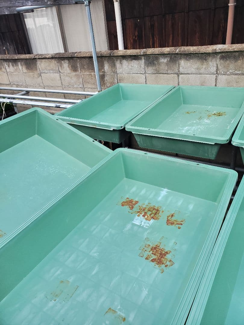 リス プラ舟140 蓋 各8個