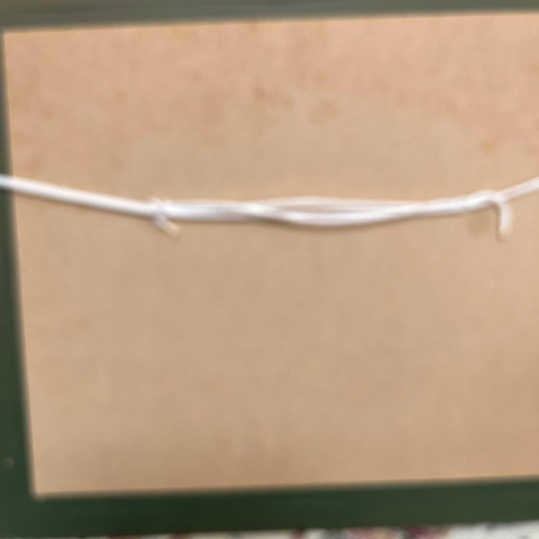 ディズニーセル画　　101匹わんちゃん　5000限定