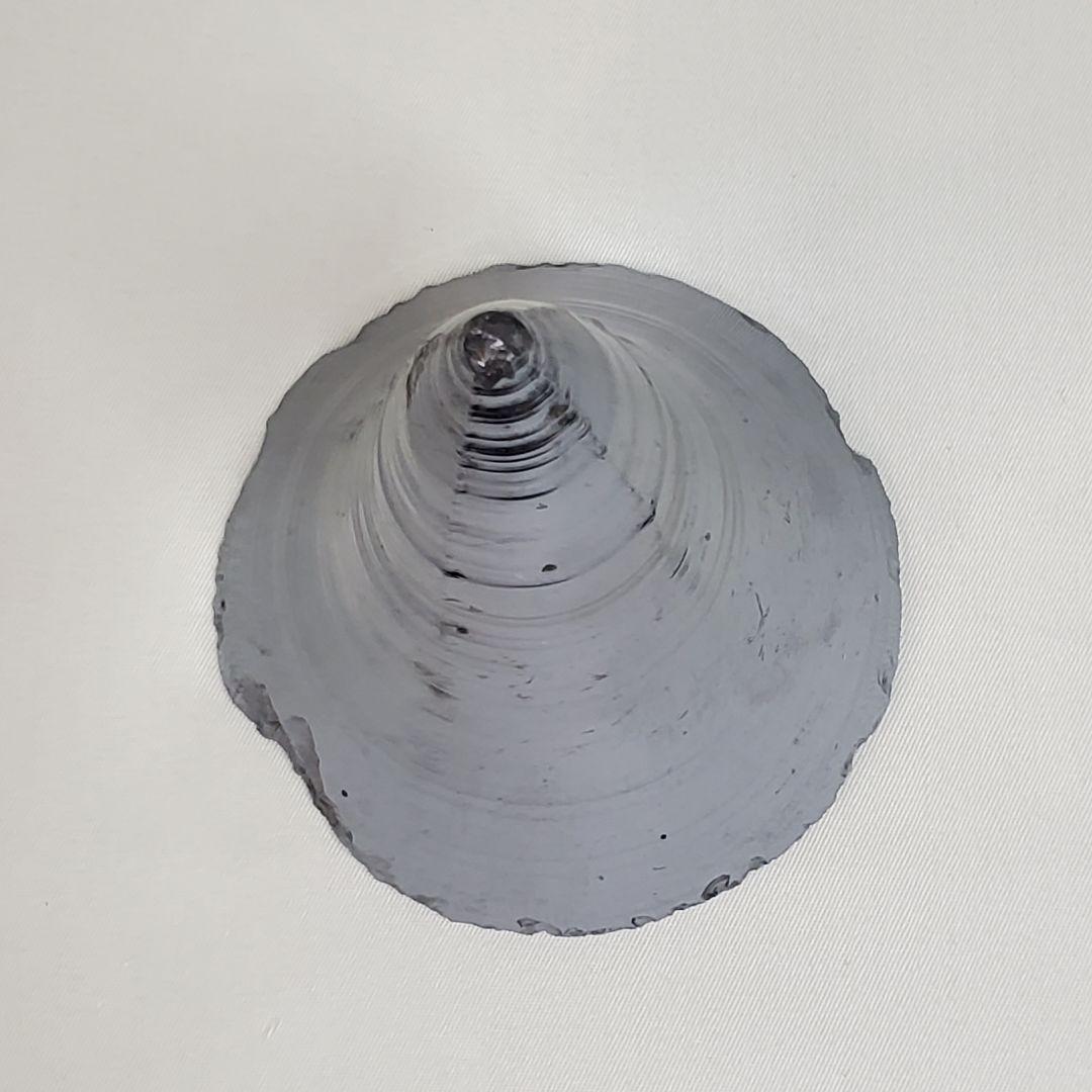 シリコンインゴット （シリコン鉱石）置物